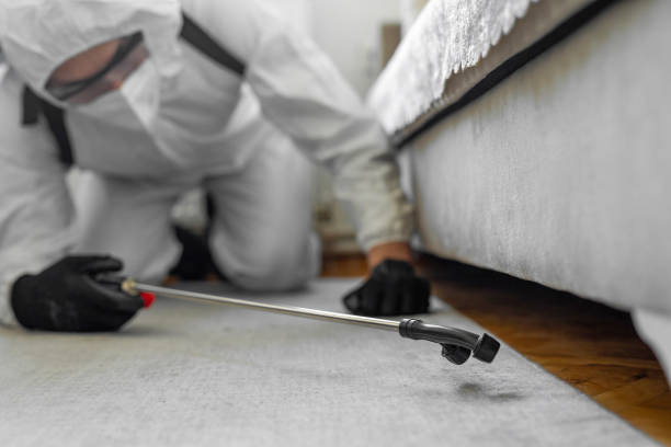 Professional Cockroach Control technician working in Noble, OK