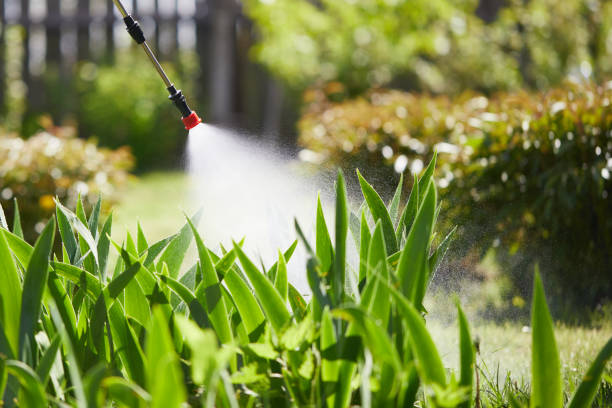 24/7 Emergency Cockroach Control experts in Noble, OK