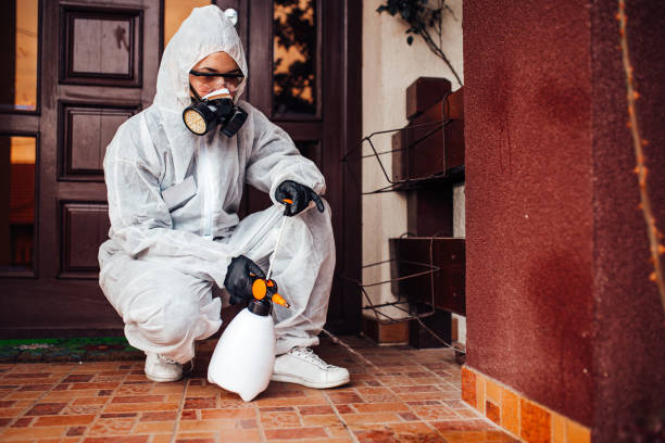 Reliable Cockroach Control contractor in Noble, OK by Nex Pest Control