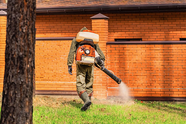 Top rated local Cockroach Control specialists in Noble, OK